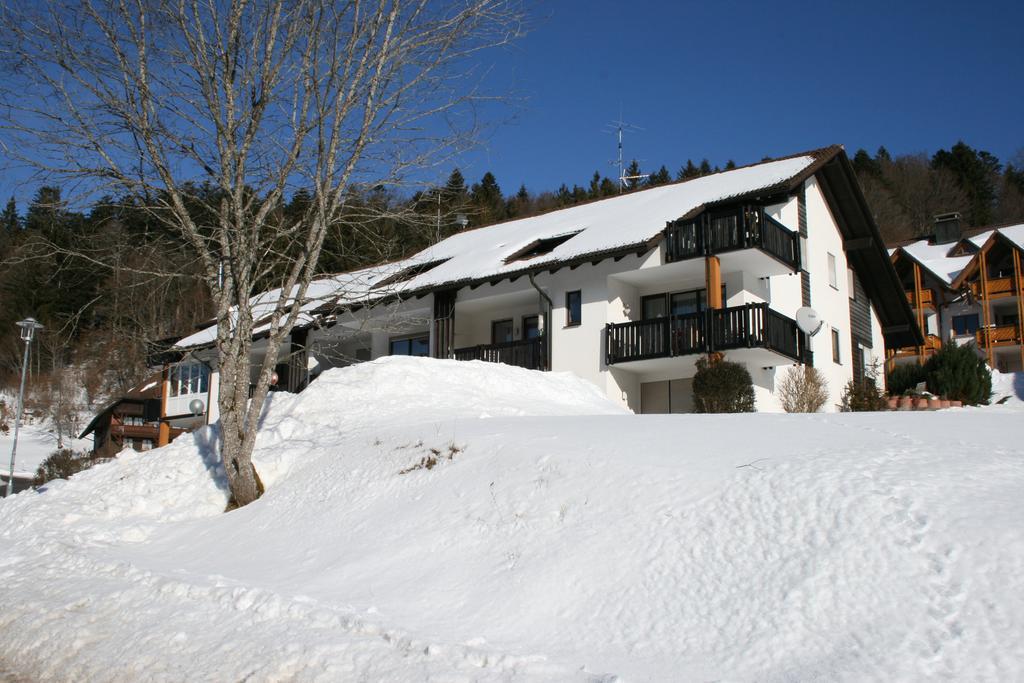 Apartment Rose Тодтмос Экстерьер фото
